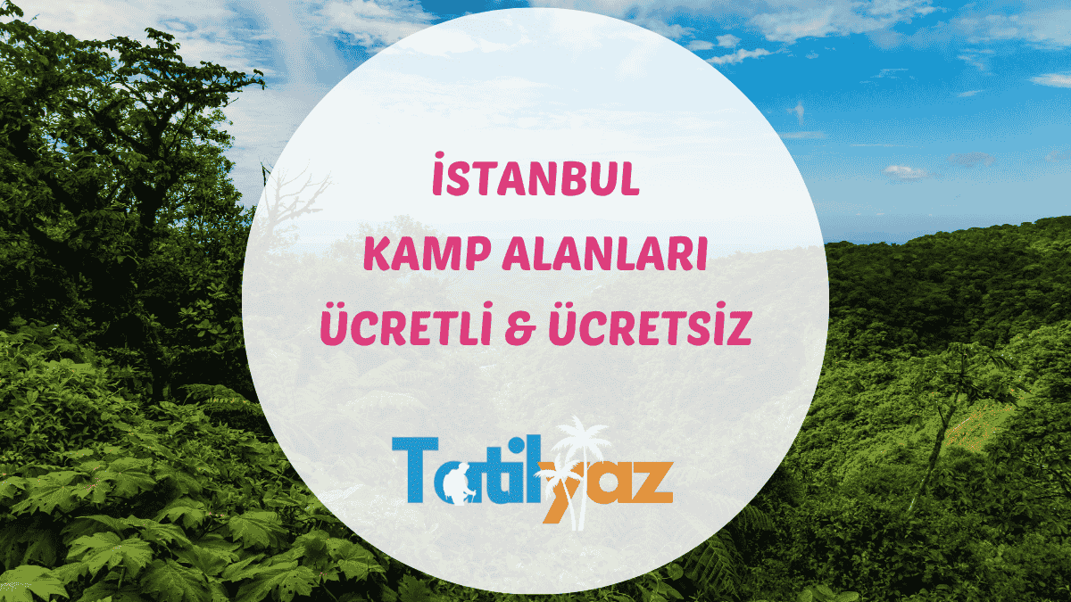 Yemyeşil bir orman manzarası üzerinde 'İstanbul Kamp Alanları Ücretli & Ücretsiz' yazan görsel.